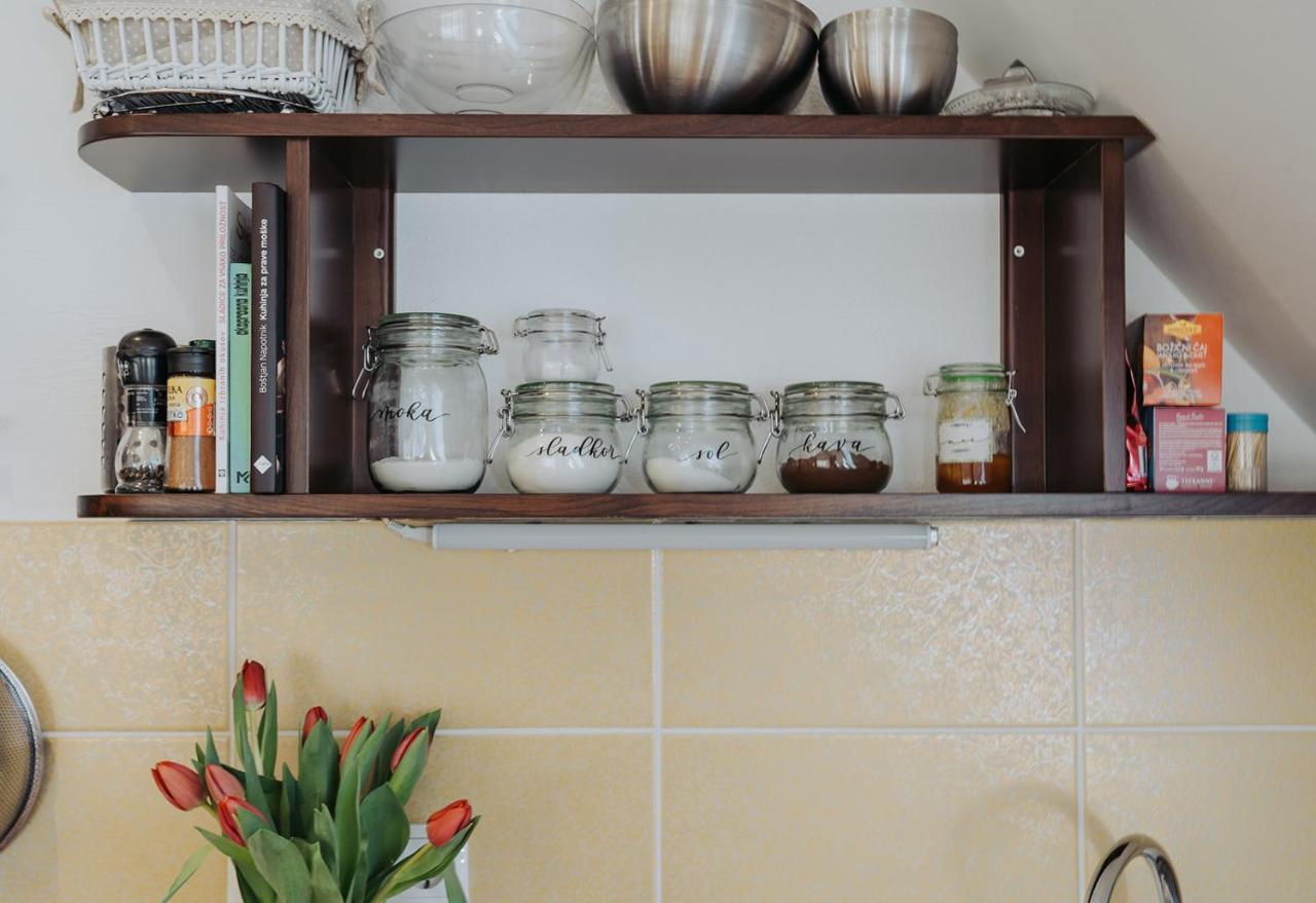 Apartments Mozinetova Hisa Sentjost nad Horjulom 外观 照片